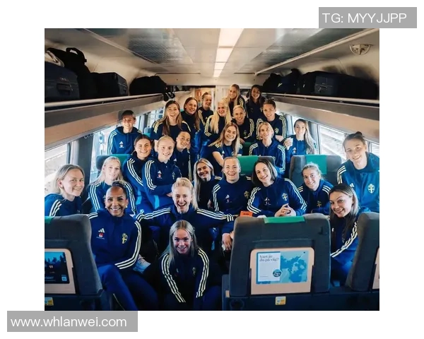 瑞典女足球星代表人物及其在世界足球舞台上的卓越贡献 瑞典女足球星代表人物及其在世界足球舞台上的卓越贡献