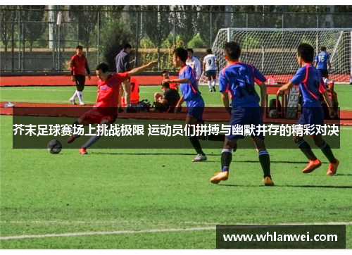 芥末足球赛场上挑战极限 运动员们拼搏与幽默并存的精彩对决